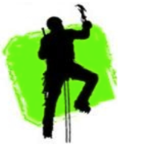 images_berg